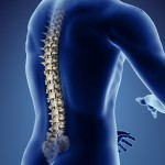 Mesoblast Stem Cell Treatment For Disc Repair Back Pain Relief