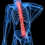 How Can Chiropractors Help With Lower Back Pain Relief