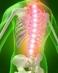 fact about back pain