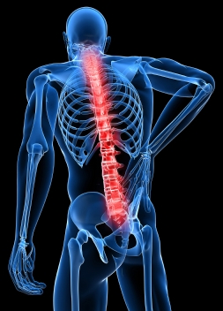 back pain treatments ideas